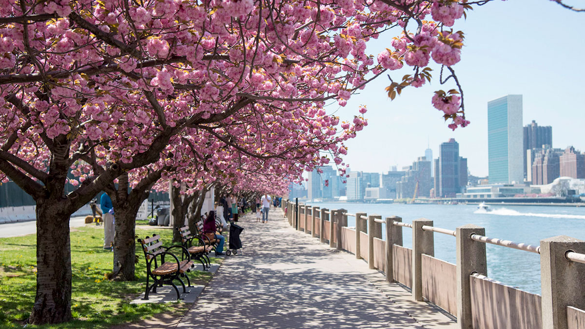 Is Anywhere as Beautiful as New York City in the Spring?