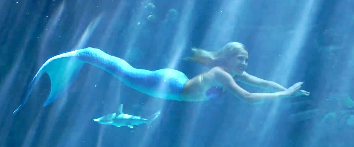 Professional Mermaid