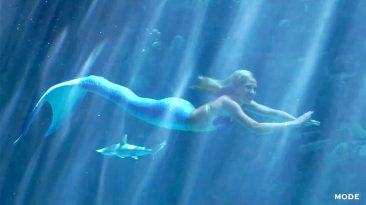 Professional Mermaid
