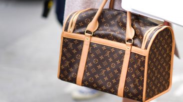 Is Louis Vuitton So Expensive